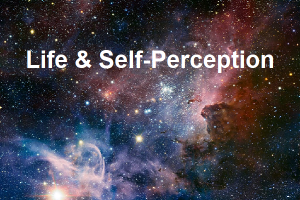 Life and Self-Perception